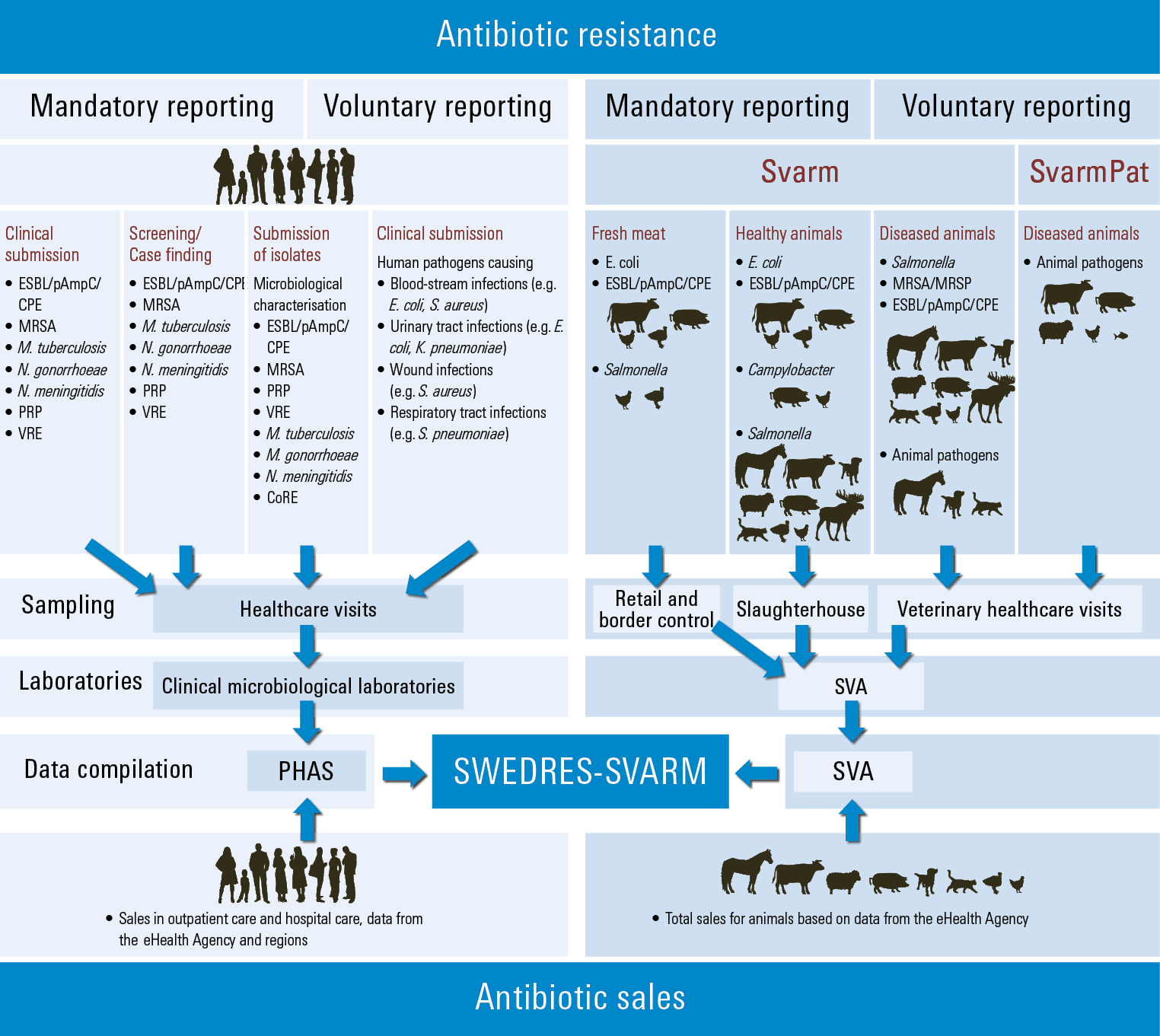 Schematic view of antimicrobial sales and resistance monitored in Sweden 2025.